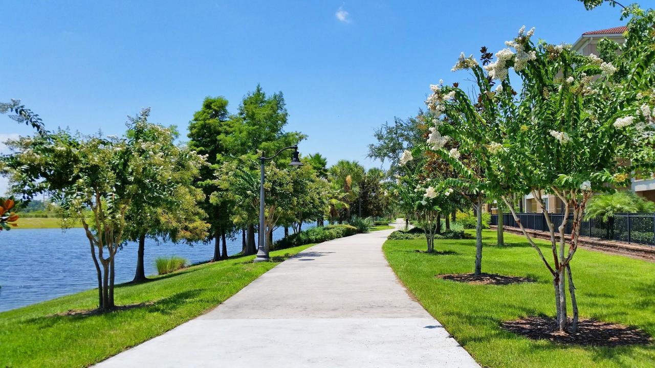 Dream Castle Daire Kissimmee Dış mekan fotoğraf
