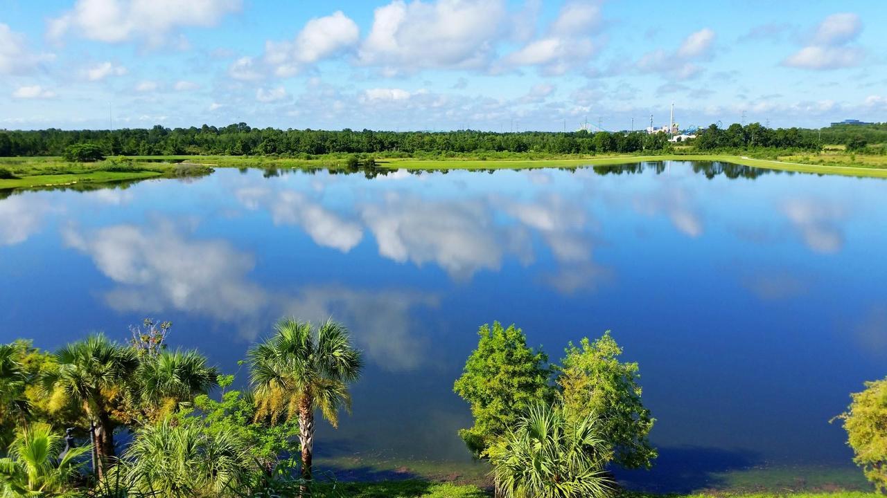 Dream Castle Daire Kissimmee Dış mekan fotoğraf